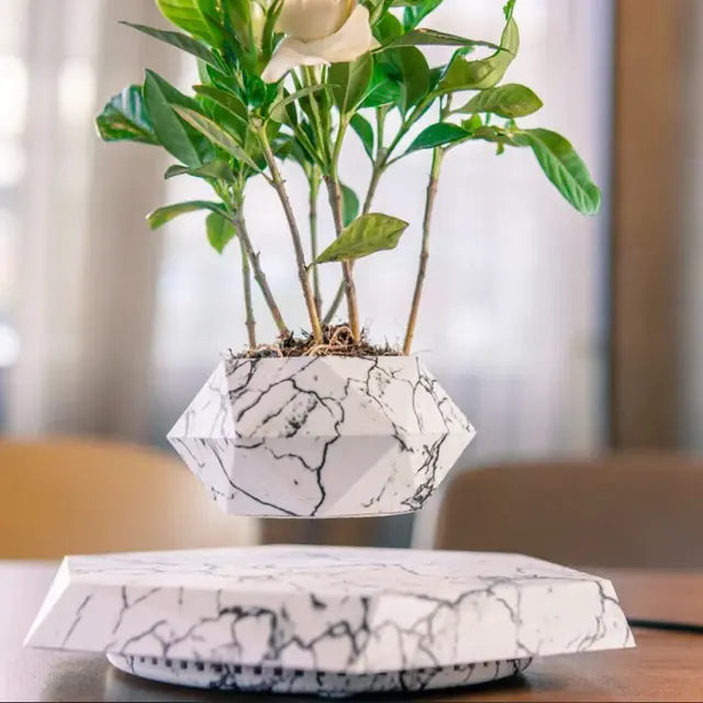 Levitating Air Flower Pot - VEESORA 