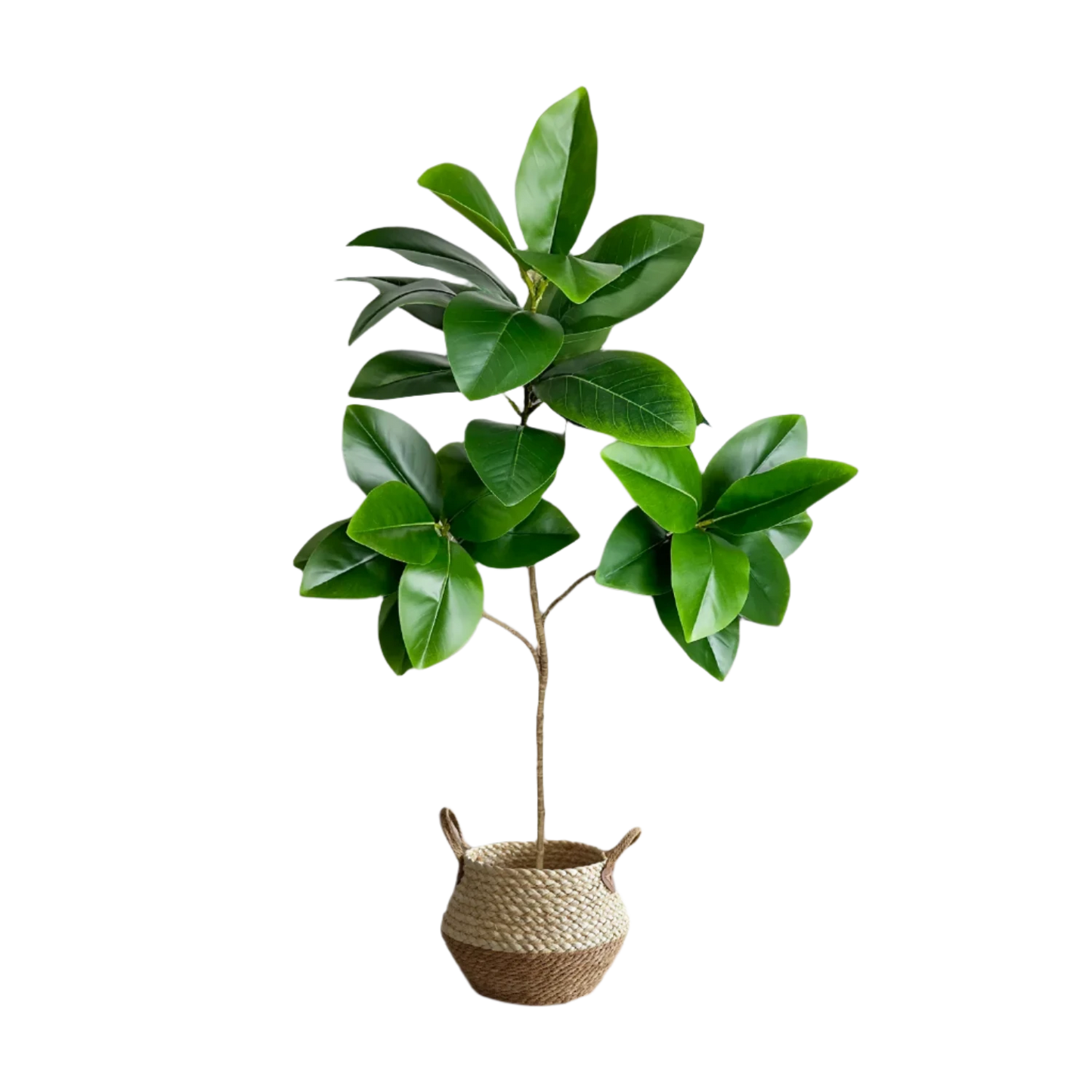 Lifelike Ficus Tree Decor - VEESORA 