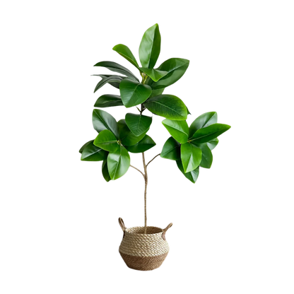 Lifelike Ficus Tree Decor - VEESORA 