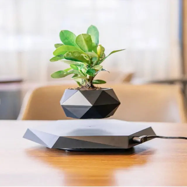 Levitating Air Flower Pot - VEESORA 