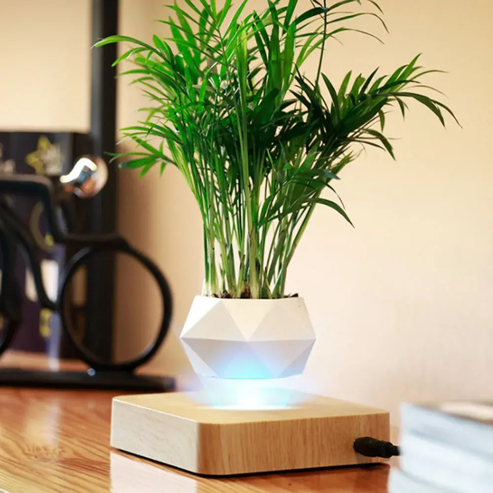 Levitating Air Flower Pot - VEESORA 