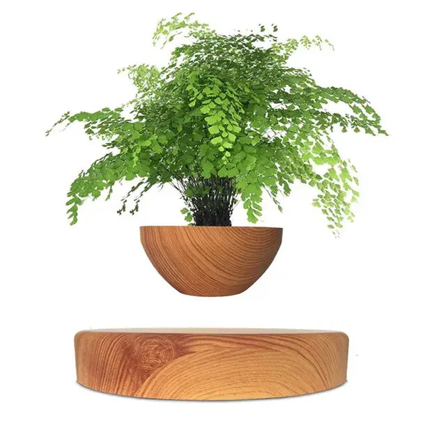 Levitating Air Flower Pot - VEESORA 